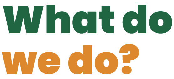 demo